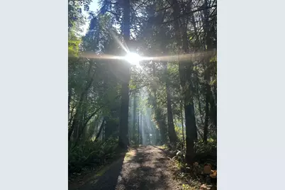 18910 NW Sauvie Island Rd, Portland, OR 97231 - Photo 46