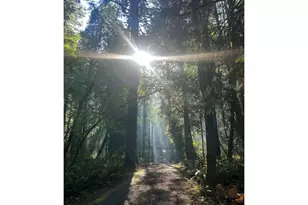 18910 NW Sauvie Island Rd, Portland, OR 97231 - Photo 46