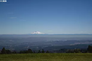 24856 NE Bald Peak Rd, Hillsboro, OR 97123 - Photo 12