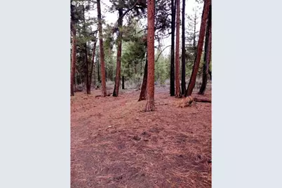 1 Forest Rd 9715, Chiloquin, OR 97624 - Photo 8