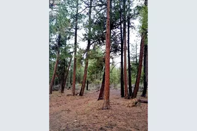 1 Forest Rd 9715, Chiloquin, OR 97624 - Photo 10