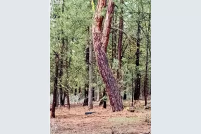 1 Forest Rd 9715, Chiloquin, OR 97624 - Photo 26