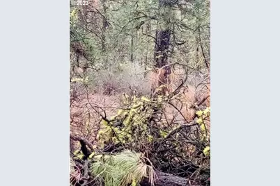 1 Forest Rd 9715, Chiloquin, OR 97624 - Photo 22