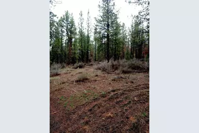 1 Forest Rd 9715, Chiloquin, OR 97624 - Photo 6