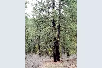 1 Forest Rd 9715, Chiloquin, OR 97624 - Photo 20