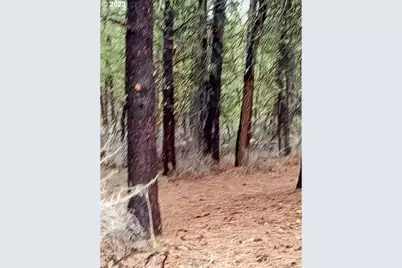 1 Forest Rd 9715, Chiloquin, OR 97624 - Photo 28