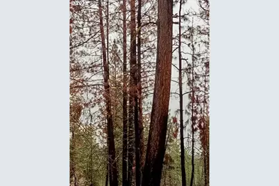 1 Forest Rd 9715, Chiloquin, OR 97624 - Photo 16