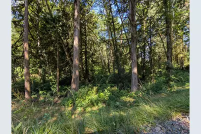 Nw Cornelius Pass Rd, Portland, OR 97231 - Photo 8