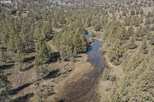 25405 SE Bear Creek Rd, Prineville, OR 97754 - Photo 44