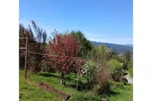 99608 S Bank Chetco Rd, Brookings, OR 97415 - Photo 28