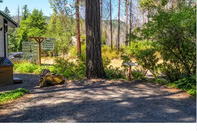 54444 McKenzie River Dr, Blue River, OR 97413 - Photo 16