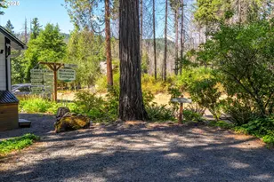 54444 McKenzie River Dr, Blue River, OR 97413 - Photo 16