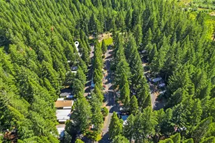 56640 McKenzie Hwy, McKenzie Bridge, OR 97413 - Photo 36
