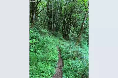0 Green Mountain Rd, Kalama, WA 98625 - Photo 4
