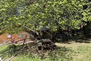 84690 Hall Ln, Wallowa Lake, OR 97846 - Photo 12