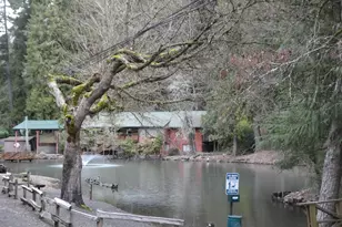 32700 SE Leewood Ln, Boring, OR 97009 - Photo 12