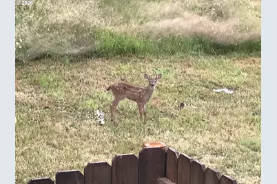 1421 NW 117th Cir, Vancouver, WA 98685 - Photo 46