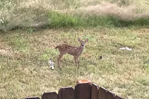 1421 NW 117th Cir, Vancouver, WA 98685 - Photo 46