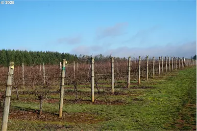 0 Pioneer Rd, Dallas, OR 97338 - Photo 18