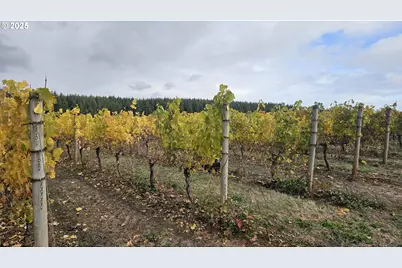 0 Pioneer Rd, Dallas, OR 97338 - Photo 14