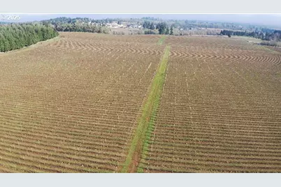 0 Pioneer Rd, Dallas, OR 97338 - Photo 16