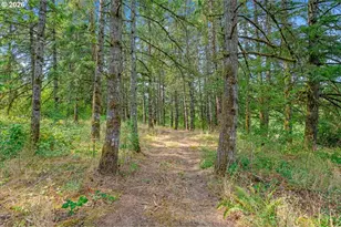 4825 Cooper Hollow Rd, Dallas, OR 97338 - Photo 44