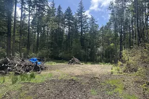 Cedar Hollow Rd, Port Orford, OR 97465 - Photo 1