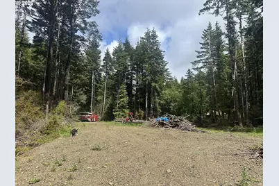 Cedar Hollow Rd, Port Orford, OR 97465 - Photo 2
