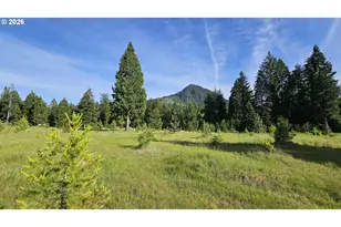 54841 McKenzie River Dr, Blue River, OR 97413 - Photo 34