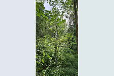 54841 McKenzie River Dr, Blue River, OR 97413 - Photo 32
