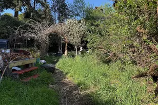 1231 Central Ave, Coos Bay, OR 97420 - Photo 14