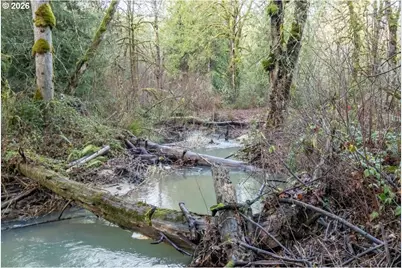 37905 S Wilhoit Rd, Molalla, OR 97038 - Photo 40