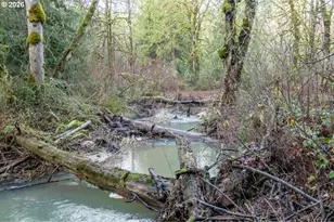 37905 S Wilhoit Rd, Molalla, OR 97038 - Photo 40