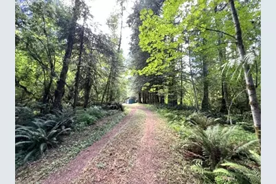 Fairdale Rd, Yamhill, OR 97148 - Photo 18