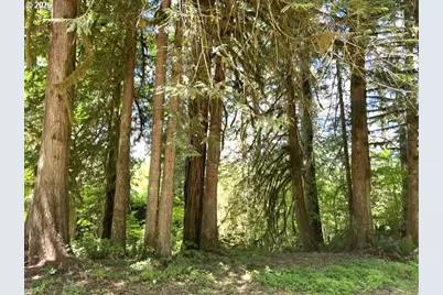 Fairdale Rd, Yamhill, OR 97148 - Photo 16