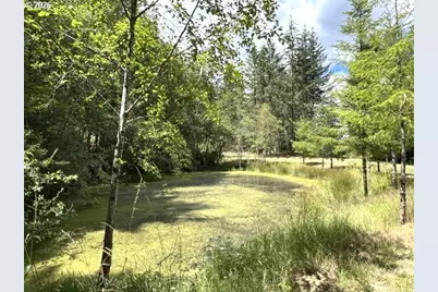 Fairdale Rd, Yamhill, OR 97148 - Photo 20