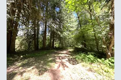 Fairdale Rd, Yamhill, OR 97148 - Photo 44
