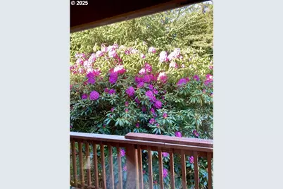 19921 Whaleshead Rd #B2, Brookings, OR 97415 - Photo 30