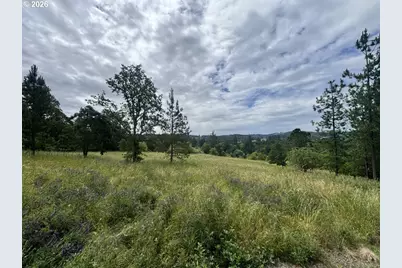 0 Spring Hill Rd., Gaston, OR 97119 - Photo 8