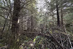 Necanicum Hwy, Seaside, OR 97138 - Photo 1