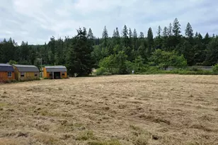 920 Buck Creek Rd, Drain, OR 97435 - Photo 10