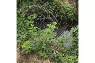 920 Buck Creek Rd, Drain, OR 97435 - Photo 18