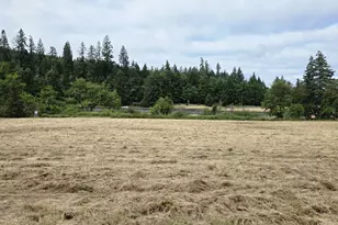 920 Buck Creek Rd, Drain, OR 97435 - Photo 4