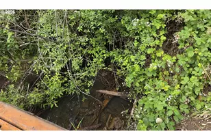 920 Buck Creek Rd, Drain, OR 97435 - Photo 18