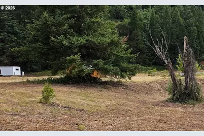 920 Buck Creek Rd, Drain, OR 97435 - Photo 2