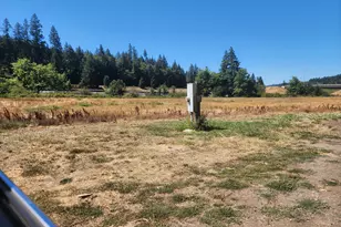 920 Buck Creek Rd, Drain, OR 97435 - Photo 2
