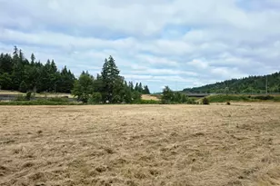 920 Buck Creek Rd, Drain, OR 97435 - Photo 8