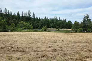 920 Buck Creek Rd, Drain, OR 97435 - Photo 10