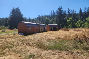920 Buck Creek Rd, Drain, OR 97435 - Photo 2