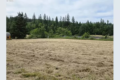 920 Buck Creek Rd, Drain, OR 97435 - Photo 6
